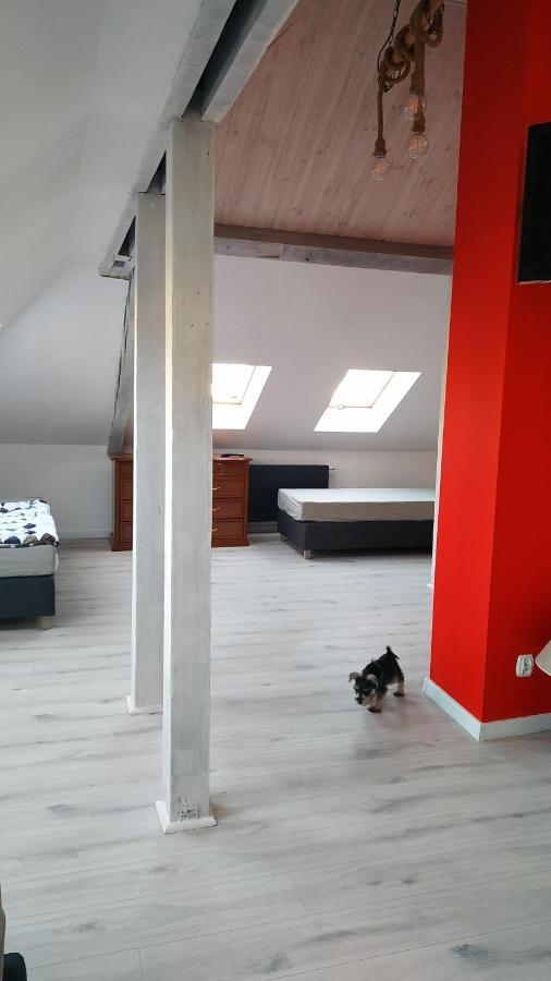 סלאופסק Apartament Witkacego Czerwony מראה חיצוני תמונה