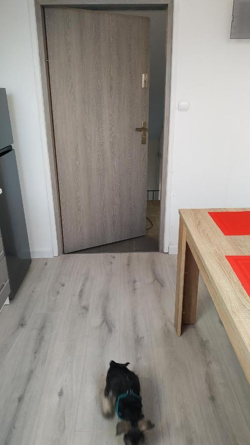 סלאופסק Apartament Witkacego Czerwony מראה חיצוני תמונה